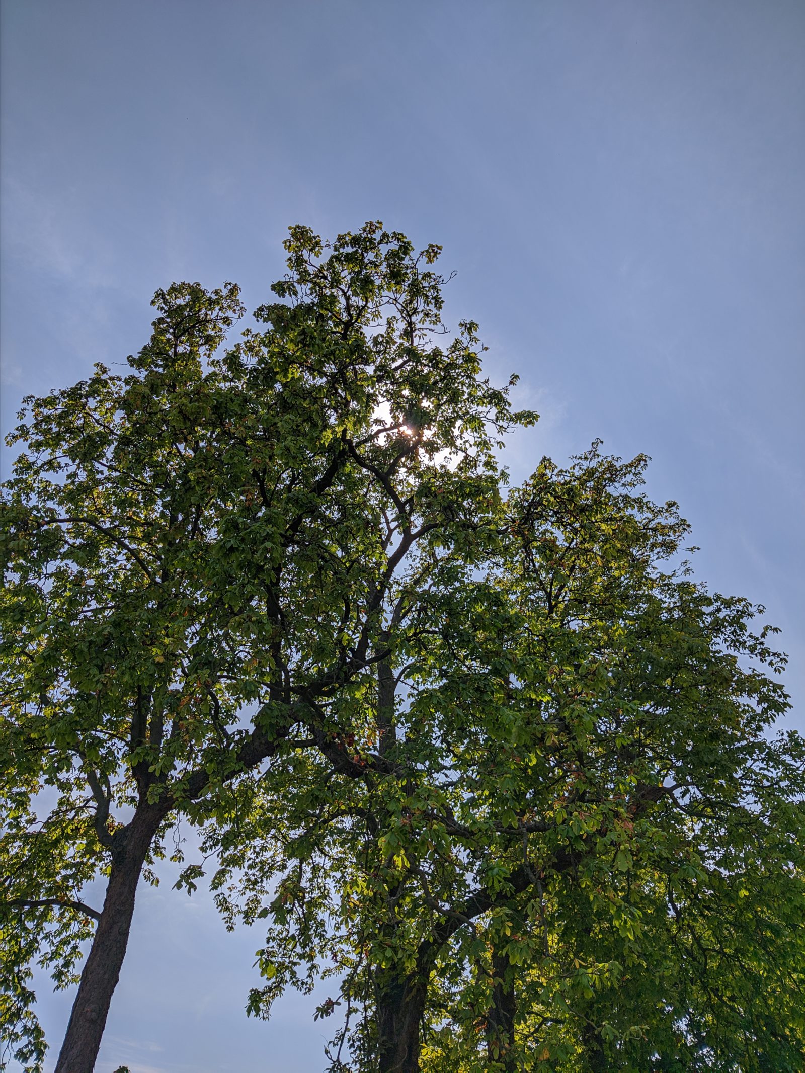 Stock vs GCam